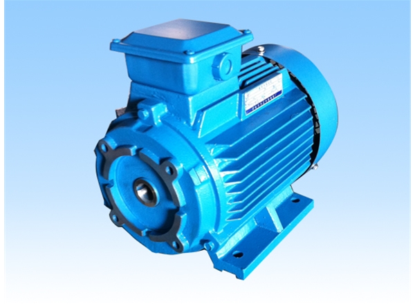 FZY DIRECT-COUPLING OIL PUMP THREE-PHASE INDUCTION MOTOR